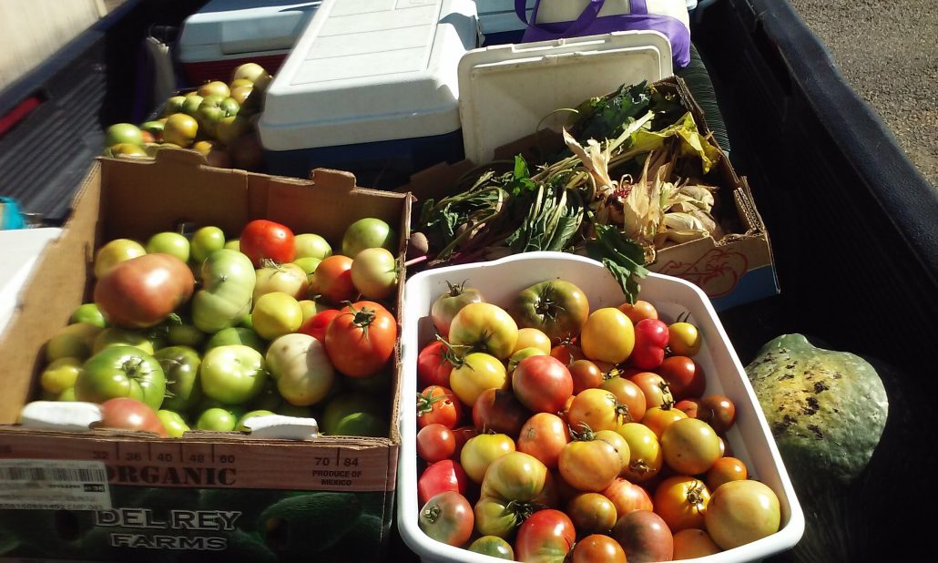 61e98f8f-fb6b-48d4-9647-ec710f27bf63